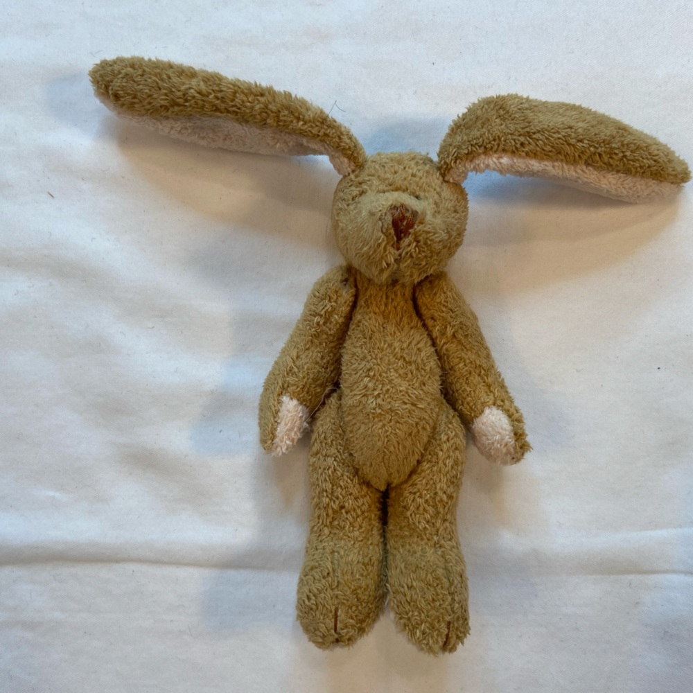 Little Rabbit Foo Foo, Bunny Rabbit, Small fits in your hand! - Picture 2 of 7